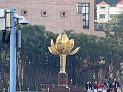-金莲花广场