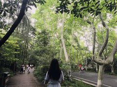 -侵华日军南京大屠杀遇难同胞纪念馆