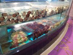 -好彩海鲜酒家(帝国中心店)
