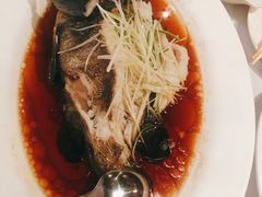 -苏浙汇(朝外店)