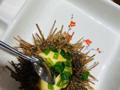 海胆蒸蛋-小平岛開海水饺(浑南店)