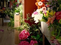 -二酉书店TOYOU BOOKS