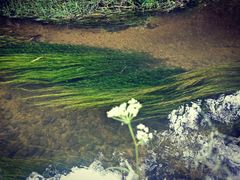 -碓臼峪自然风景区