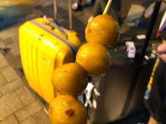 -豪華小食.華記