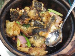 煎焗鮰鱼头煲-新兴·金羊座·粤菜点心(乐峰店)