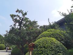 -华清宫景区