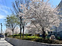 -苏州湾体育公园