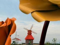 -杭州湾海上花田景区