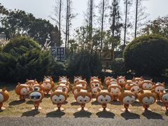 -上海长兴岛郊野公园