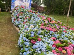 -武汉园博园(武汉自然博物馆)