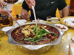 -乡土特色.冷锅鱼.牦牛肉汤锅