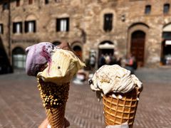 -Gelateria Dondoli