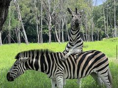 -卡塞拉自然公园