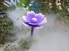 -龙湾潭国家森林公园
