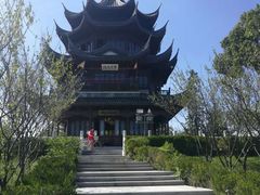 -上海海湾国家森林公园