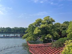 -湖畔居茶楼(湖滨店)