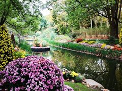 -上海共青森林公园