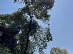 -成都市文殊院