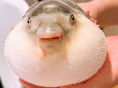 -永安鱼庄·镇江菜(东吴路店)