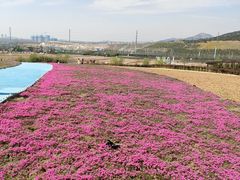 -西海岸生态观光园