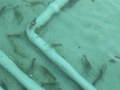 -DGE季风钓虾营地·团建·聚会