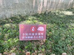 -西园戒幢律寺