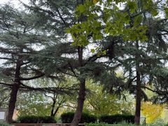 -日照灯塔风景区