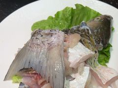 -得意咚瓜·顺德鱼生·冬瓜火锅(深圳首店)