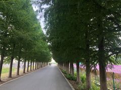 -嘉北郊野公园