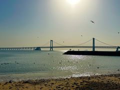 -星海广场