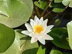 -石家庄市植物园