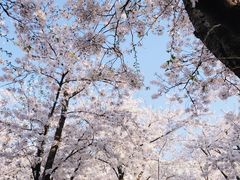 -龙美术馆(西岸馆)