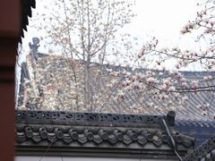 -长春观