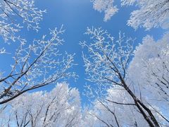-中旅松花湖滑雪场