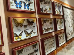 -宁波五龙潭景区