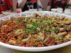 来凤鱼-新概念来凤鱼(璧山店)