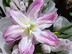 -昆明国际花卉拍卖交易中心