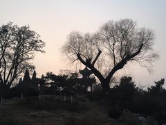-济南南郊宾馆