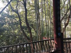 -潜山国家森林公园