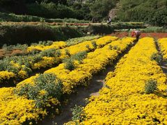 -乐享养生(东湖店)