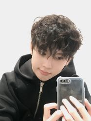 -YESIDO椰岛造型