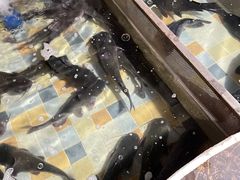 -缘福乡村铁锅炖民宿(八达岭店)