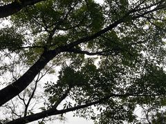 -重庆平顶山公园