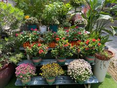 -山水茶艺馆·点心粤菜·30年老字号