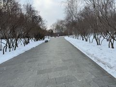 -群力丁香公园