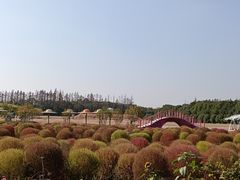 -嘉北郊野公园