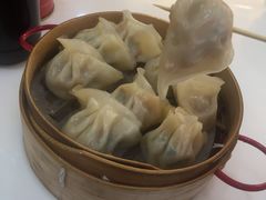 -潮双喜正宗澄海狮头鹅华利路店