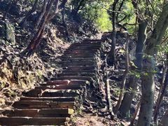 -杭州半山国家森林公园