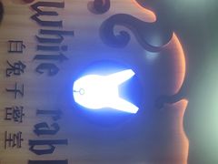 -白兔子密室(长寿路店)