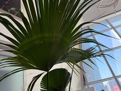 -枕水江南(铁西万象汇店)